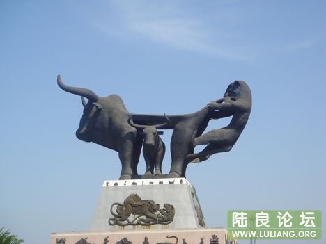 DSC09694.JPG