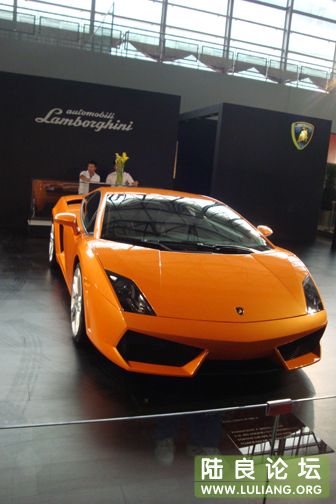 DSC00686.JPG