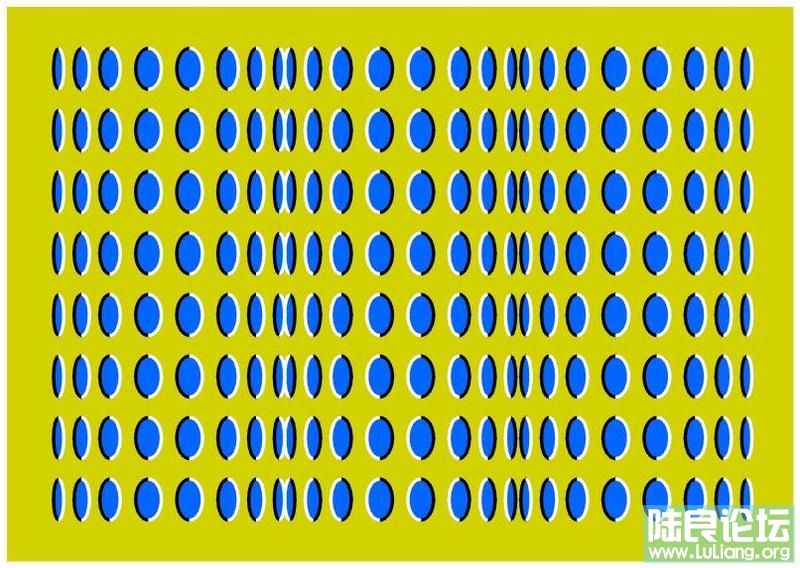 0470aefcef541d68d7887d20.jpg