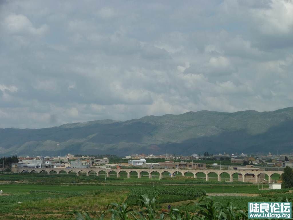 P1010423.JPG