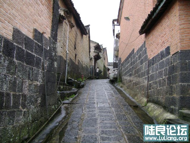 DSC02836.JPG