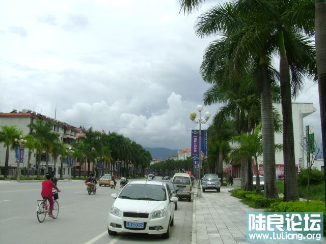 DSC02944.JPG