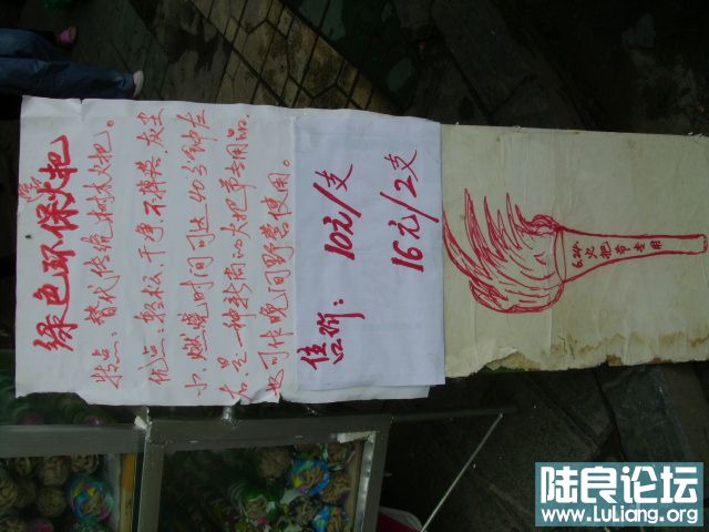 DSC02979.JPG
