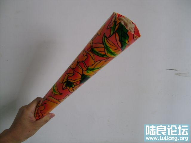 DSC02980.JPG
