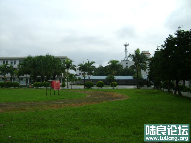 DSC02909.JPG