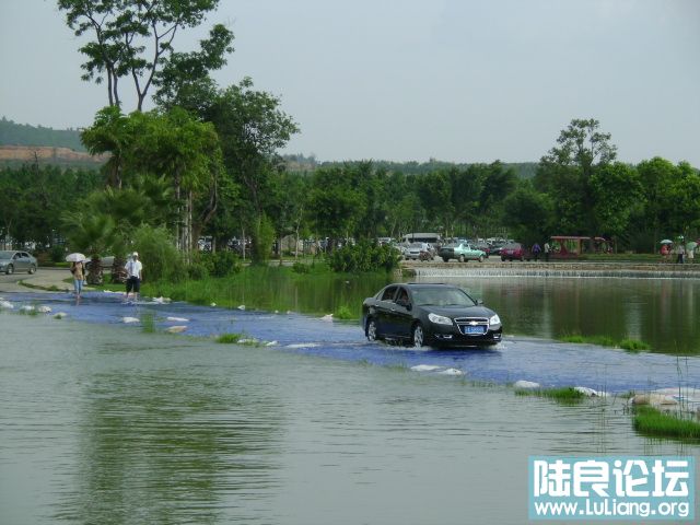 DSC03037.JPG