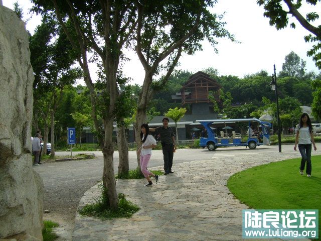 DSC03053.JPG