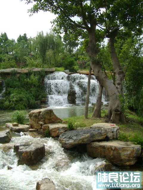 DSC03024.JPG