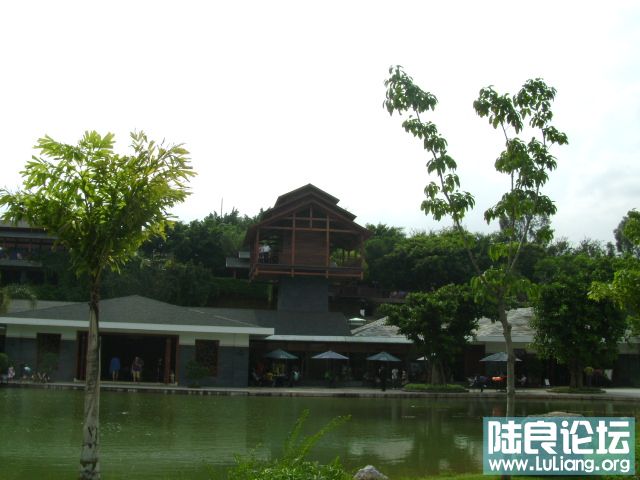DSC03031.JPG