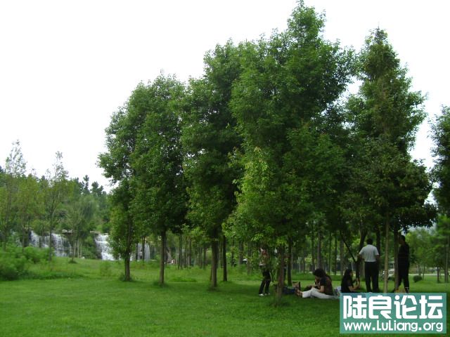 DSC03013.JPG