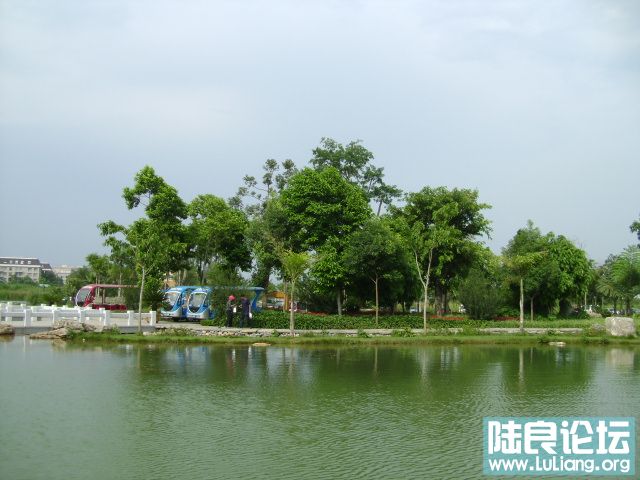 DSC03030.JPG