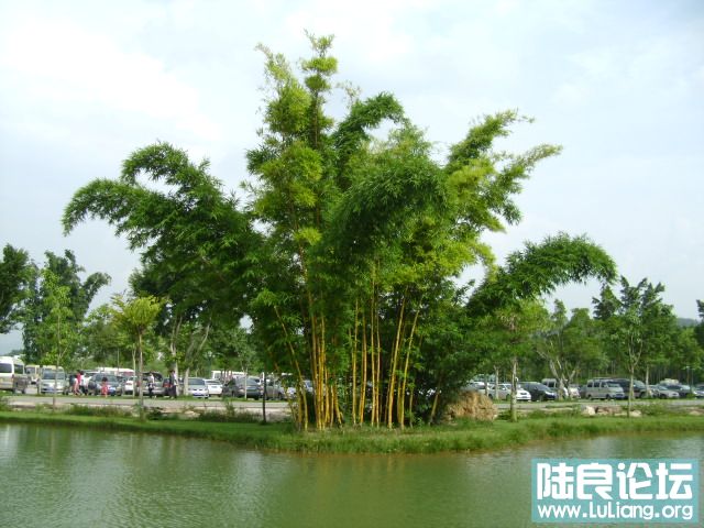 DSC03029.JPG