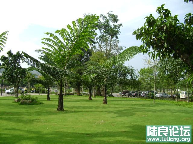DSC03051.JPG
