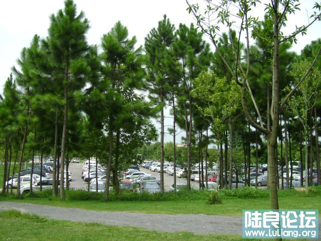 DSC03015.JPG