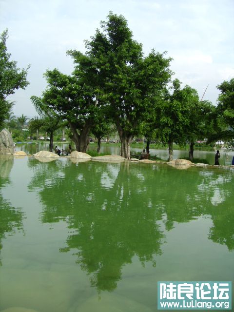 DSC03035.JPG