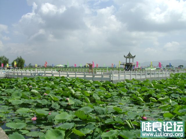 DSC03179.JPG
