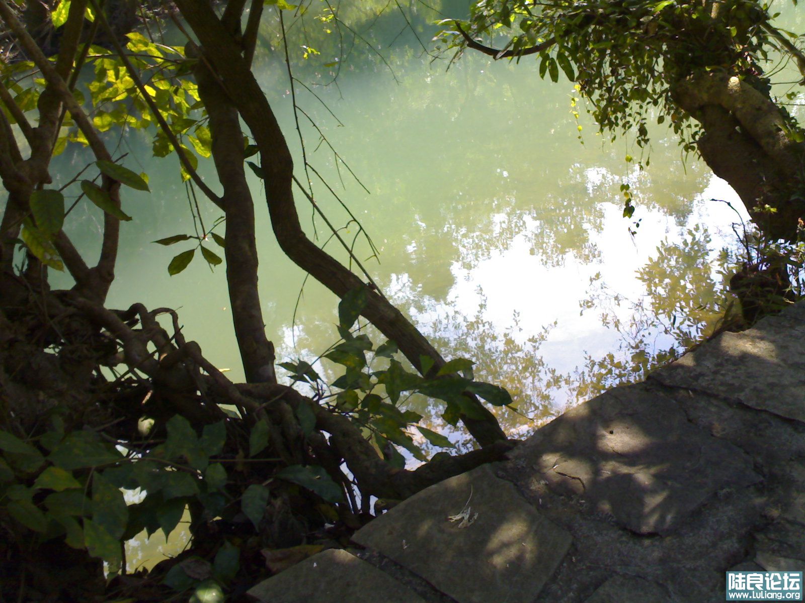 01302009189.jpg