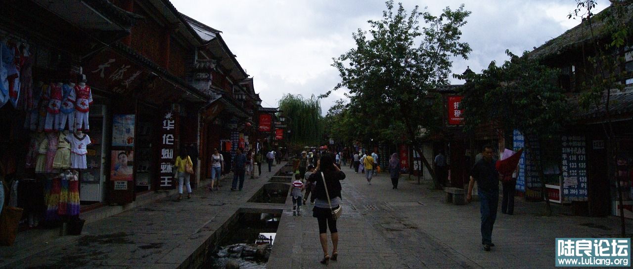 DSC05153.jpg
