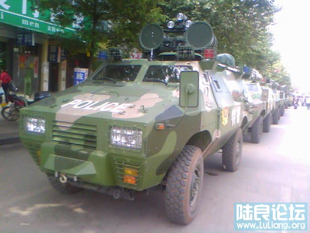 20100823A011.jpg