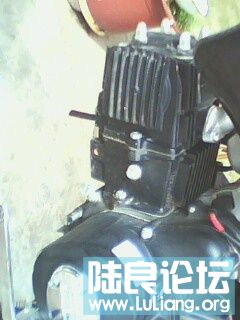 IMG0048A.jpg