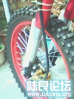 IMG0047A.jpg