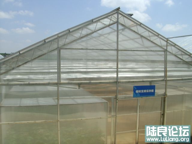DSC03328.JPG