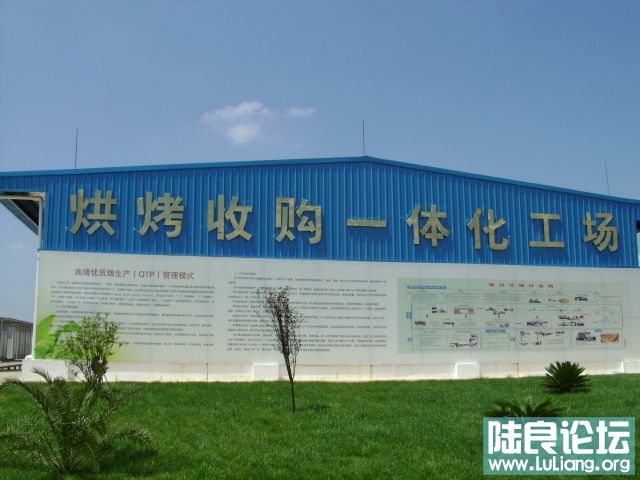 DSC03332.JPG