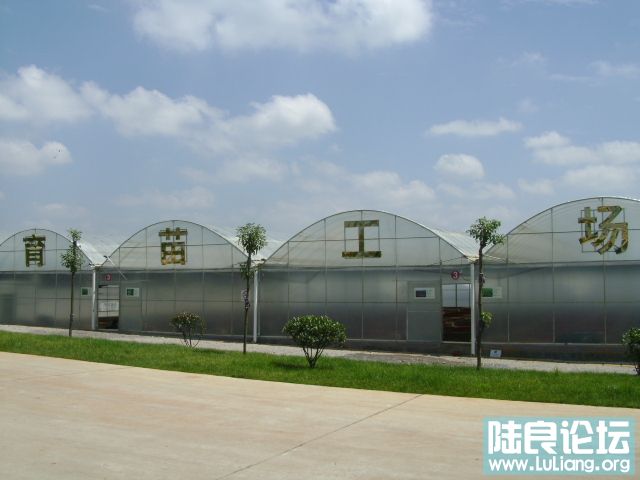 DSC03335.JPG