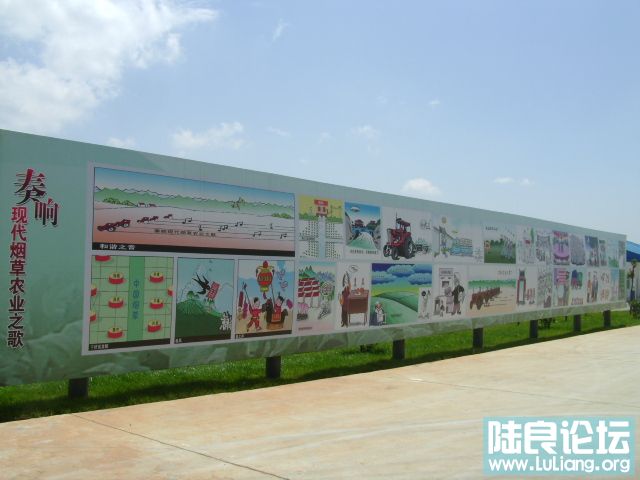 DSC03334.JPG