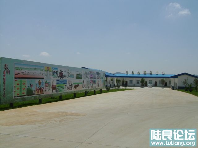 DSC03336.JPG