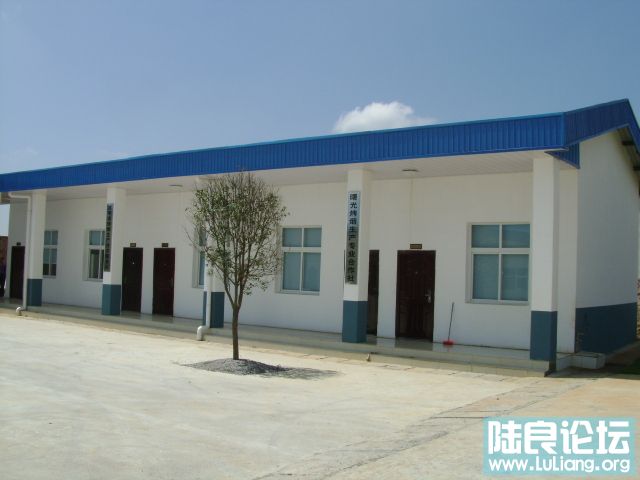 DSC03331.JPG
