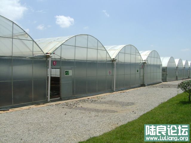 DSC03343.JPG