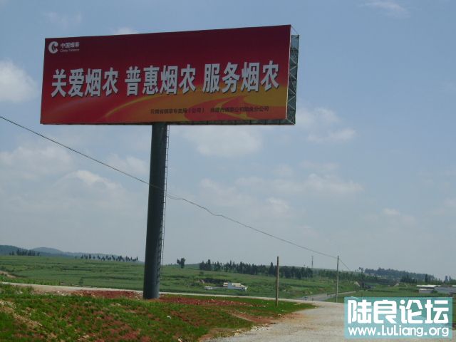 DSC03341.JPG