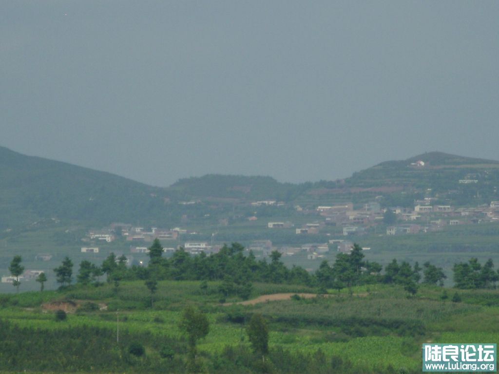 DSC03351.JPG