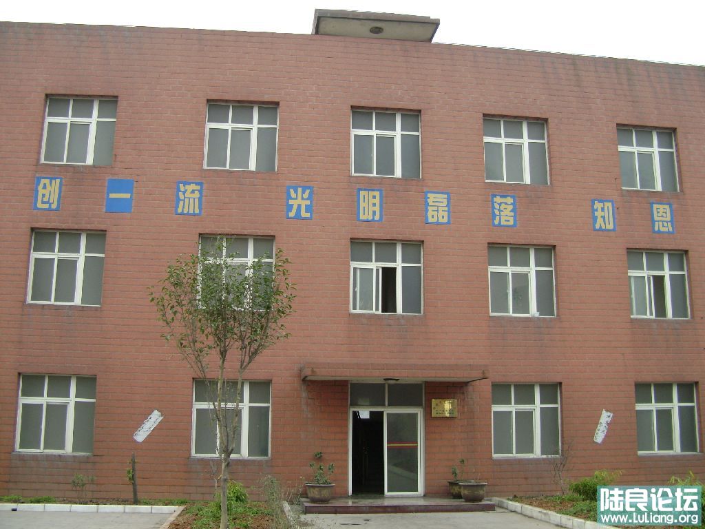 DSC00784.JPG
