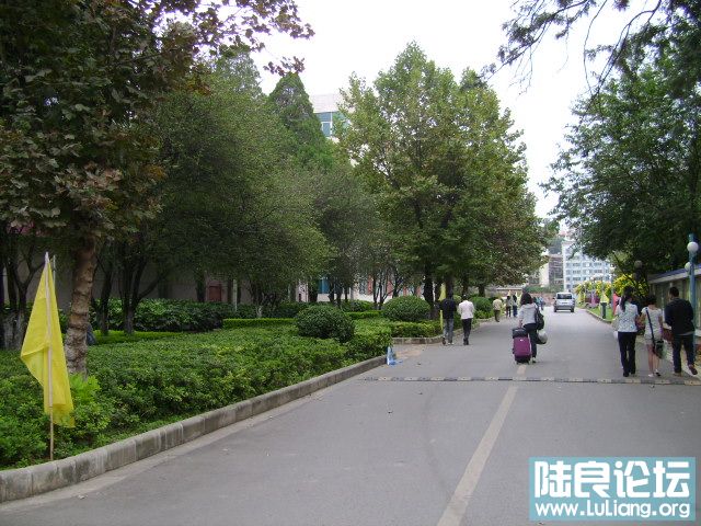 DSC03301.JPG