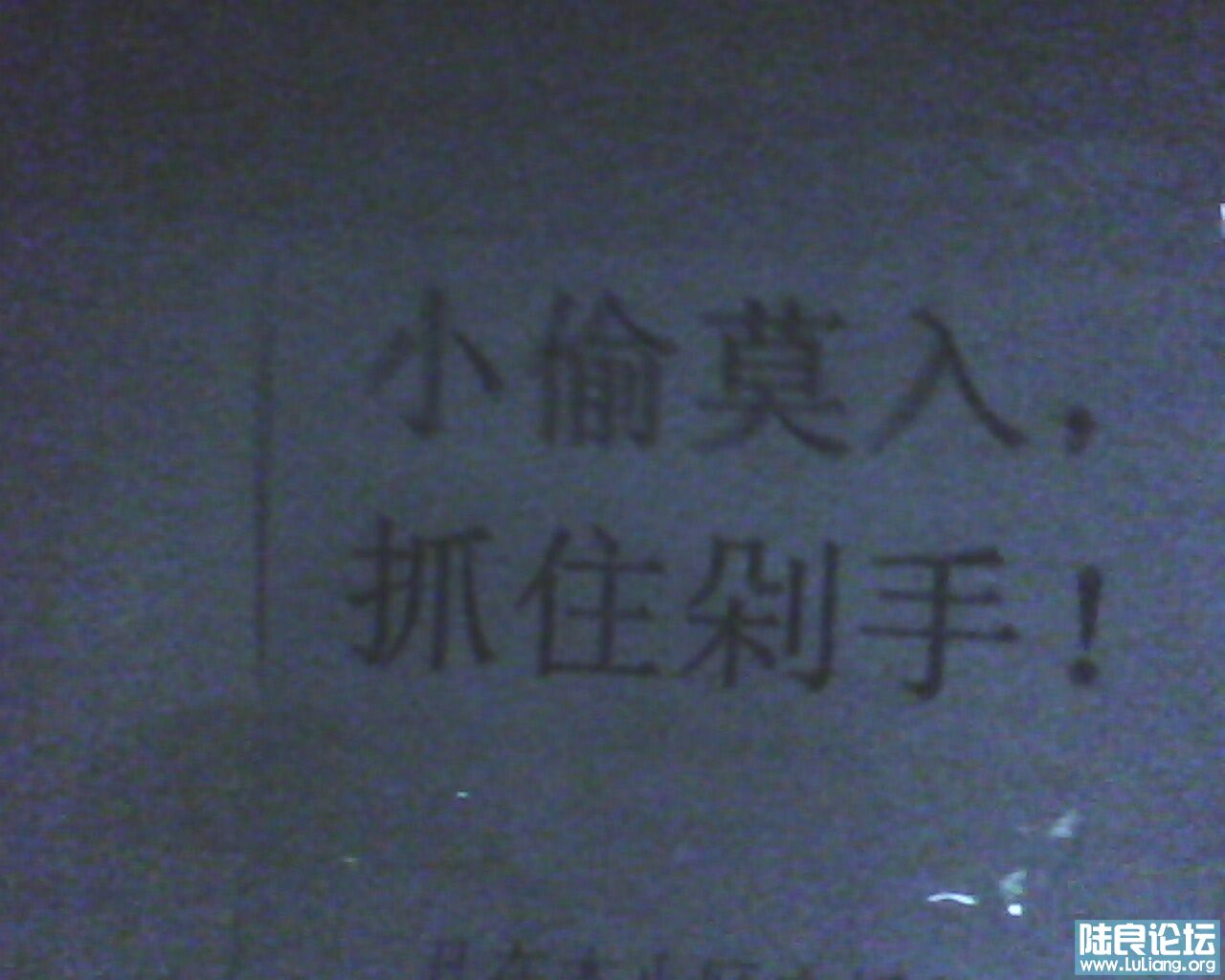 IMG0303A.jpg
