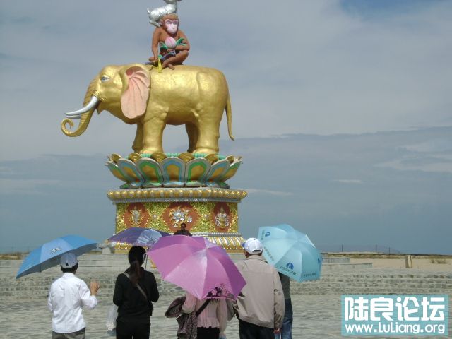 DSC03357.JPG
