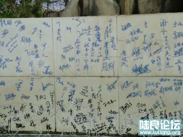 DSC03408.JPG