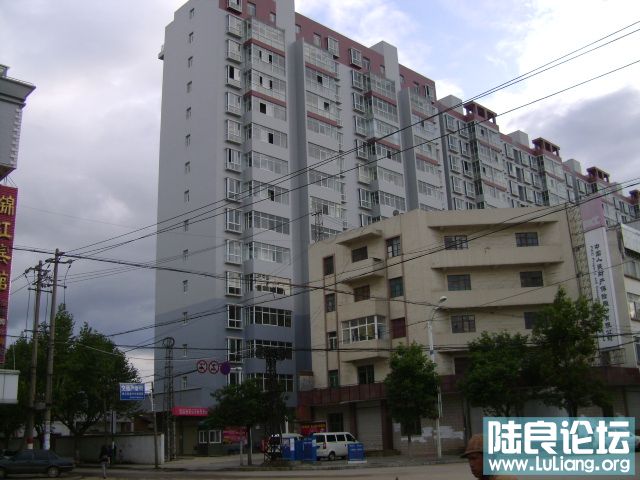 2010.JPG
