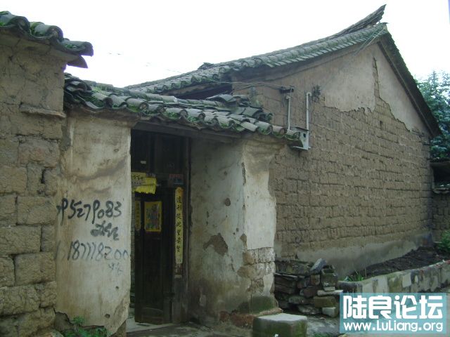 70.JPG