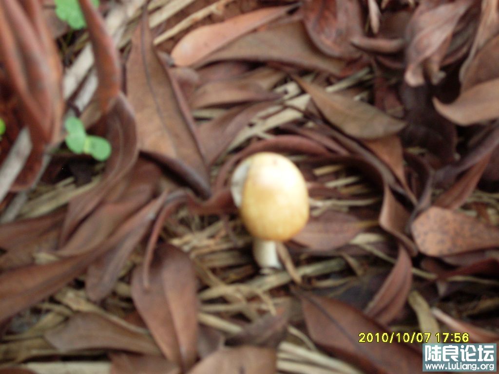SDC10190.JPG