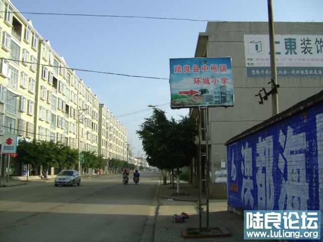 DSC03479.JPG