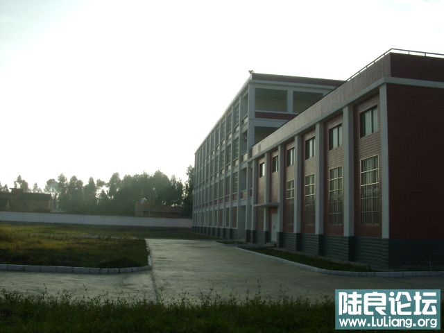 DSC03474.JPG