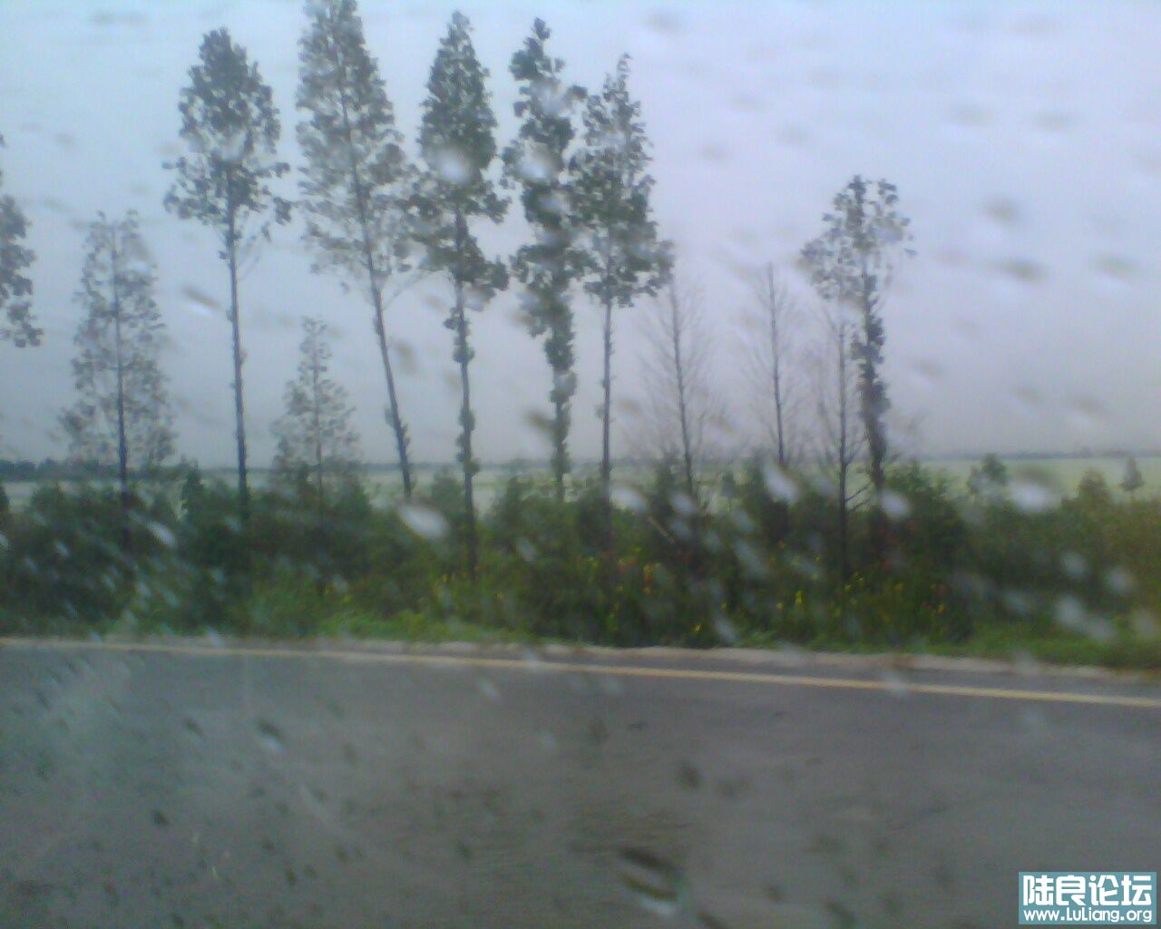 IMG0012A.jpg