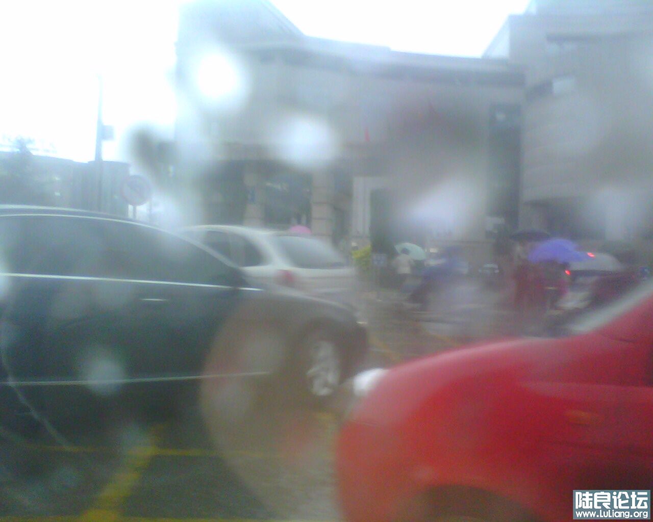 IMG0011A.jpg