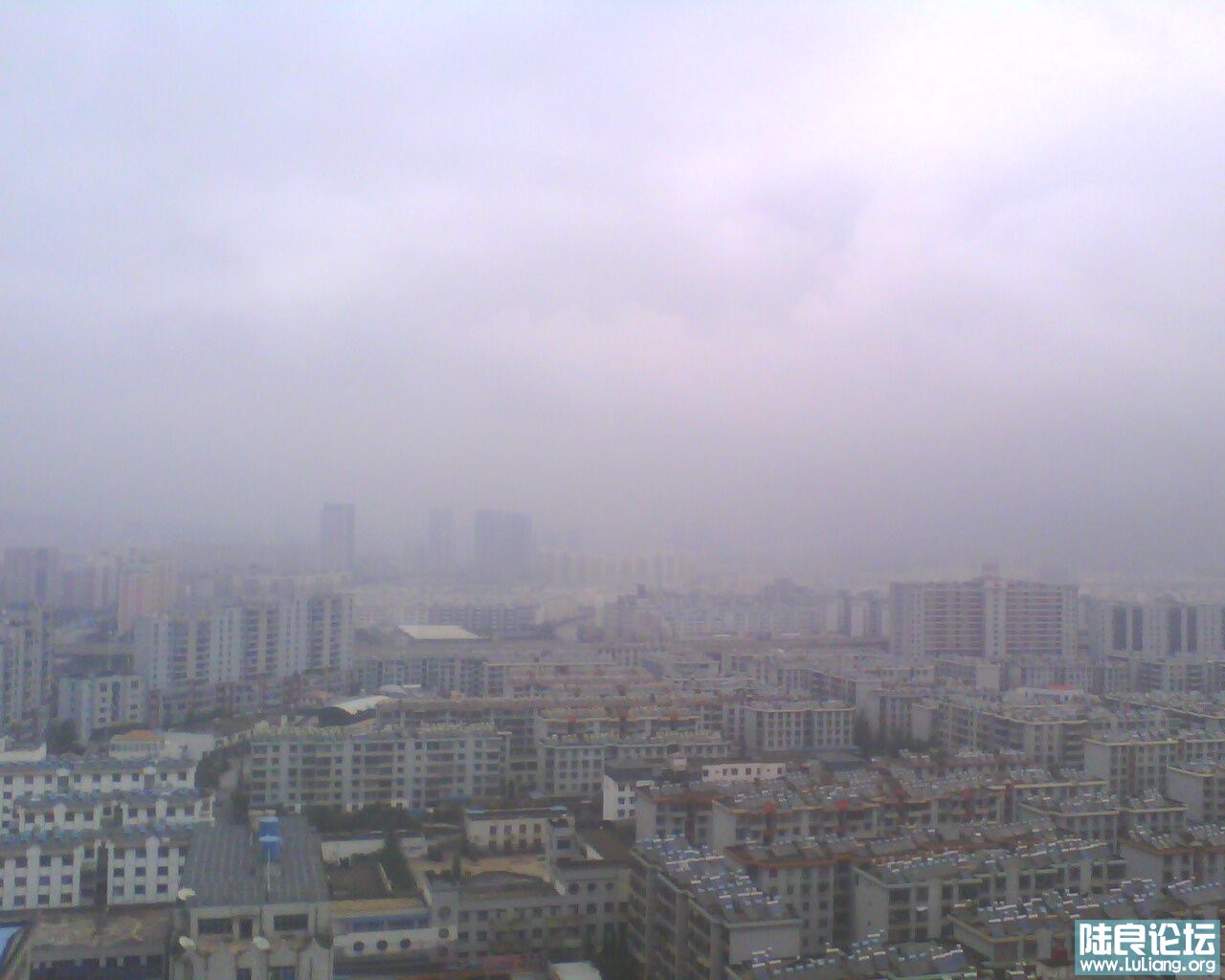 IMG0020A.jpg