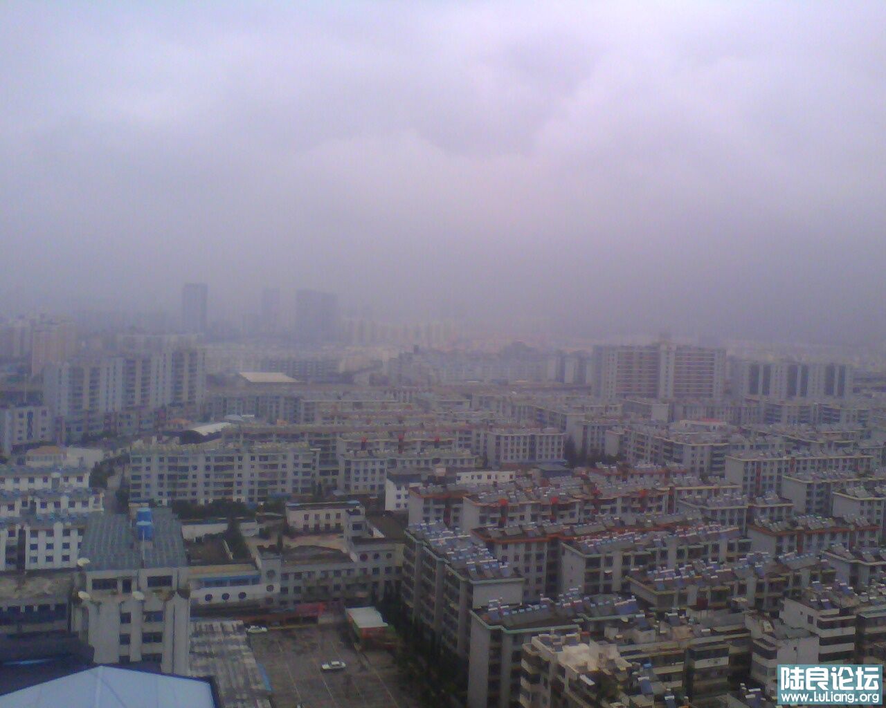 IMG0019A.jpg