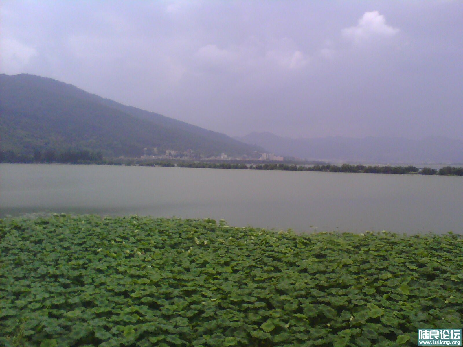 IMG0042A.jpg