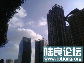 IMG0085A.jpg